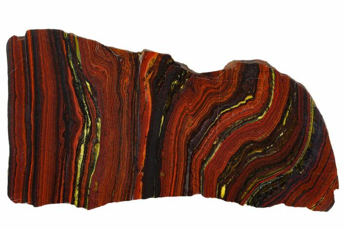 Polished Tiger Iron Stromatolite - Billion Years #129211